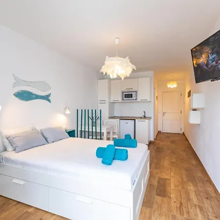 Apartment Paradise
